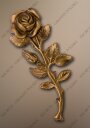 Róża Lbc 5800